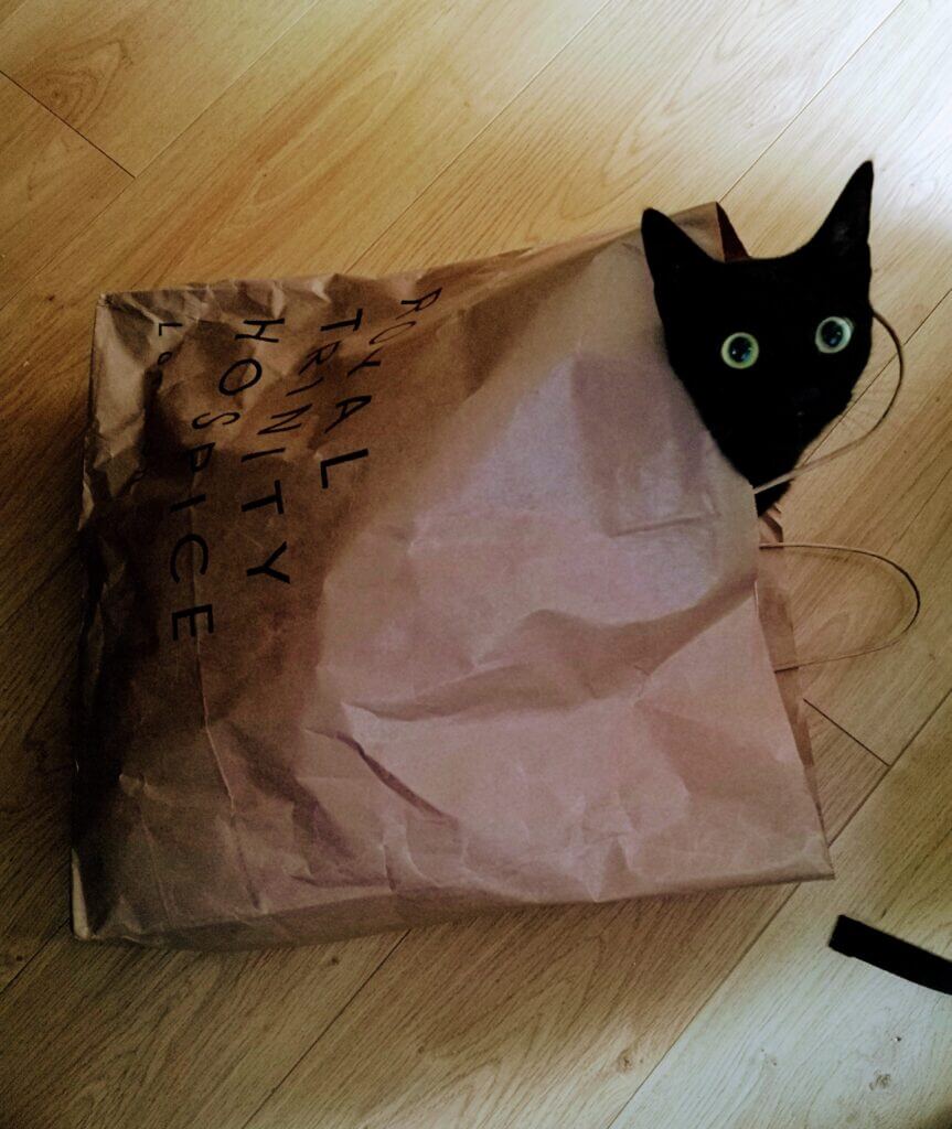 Bags are one of the most clasic examples of everyday items serving as strange cat toys. In here, a black cat playfuly hiding in a paper shopping bag.