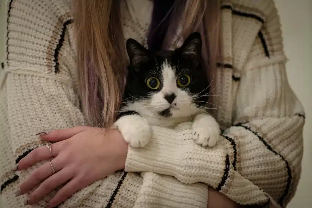 A person wearing a white knitted sweater with black stripes is holding a black and white cat. The cat has wide, alert eyes and is nestled comfortably in the person's arms. Only the person's arms and part of their long hair are visible.